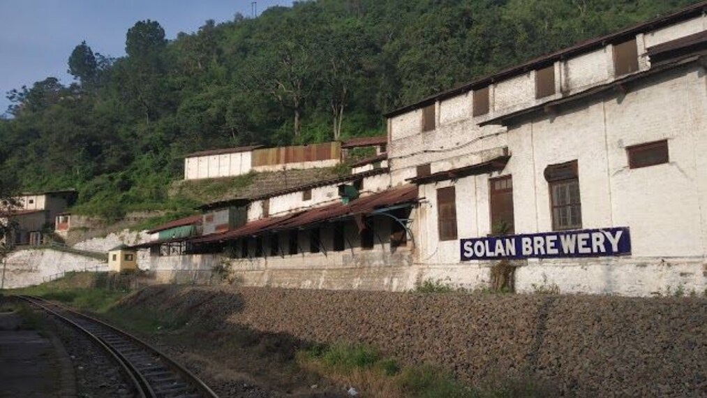 Solan Brewery-2